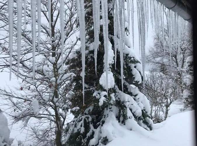 Sauerlandtraum Holiday home *